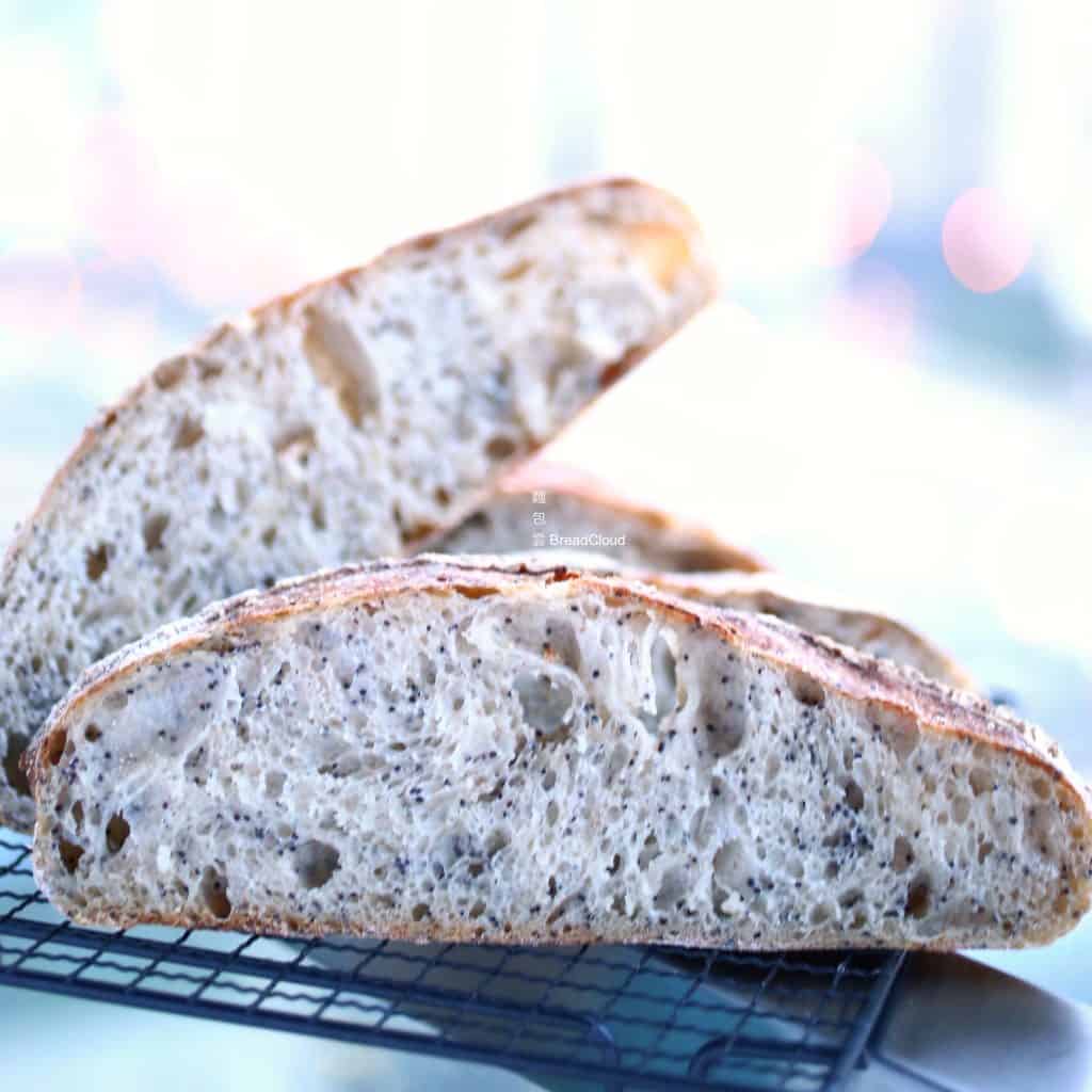 Gd_DI0A3298＿breadcloudText