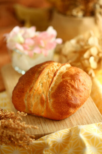 Bread-Cloud-Studio-Ginny-Choy-Bread-Pillow5569b