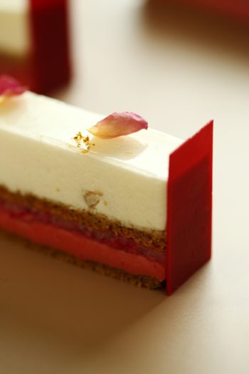 Bread-Cloud-Studio-Phoebe-Avila-Lychee7225