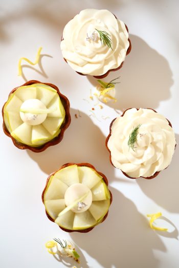 Bread-Cloud-Studio-Phoebe-Avila-Saros-8885