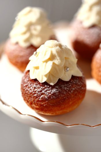 Bread-Cloud-Studio-Phoebe-Avila-White-Christmas-5819