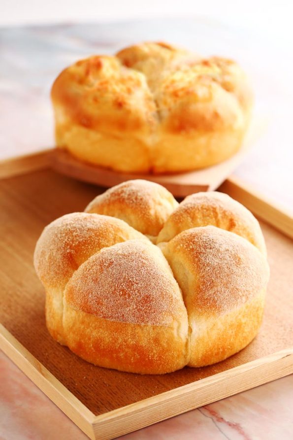 Bread-Cloud-Studio-Sarah-Yam-Marguerite-DI0A5959_0309r