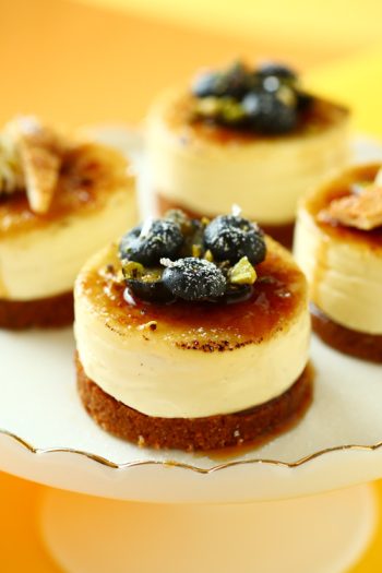 Bread-Cloud-Studio-Tina-Mok-Blueberries-Mango-Cheese-Cake-0305